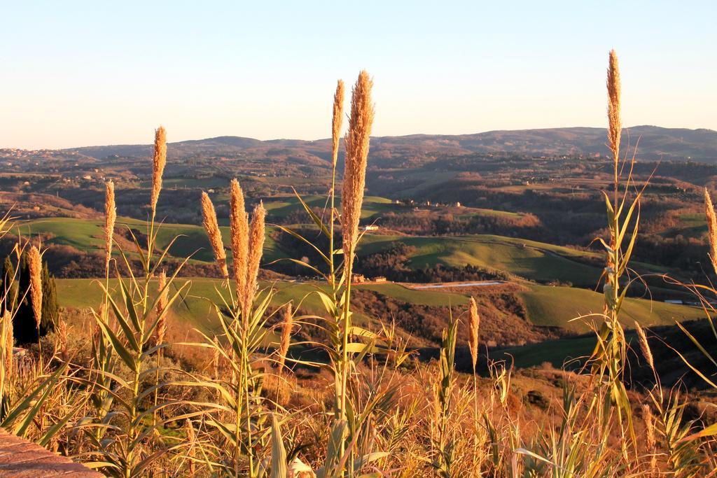Agriturismo Le Docce Castelfiorentino Exterior foto